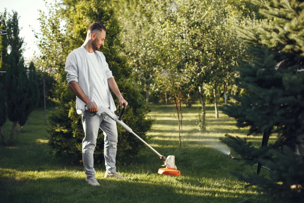 landscape maintenance